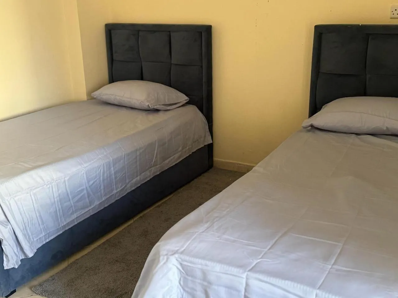 Provis For Family Apartment Sharjah